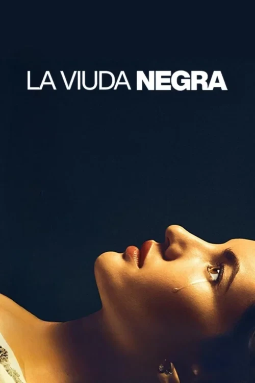 دانلود فیلم A Widow's Game