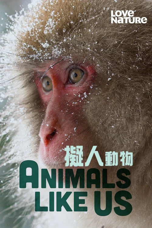 دانلود سریال Animals Like Us