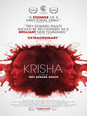 دانلود فیلم Krisha