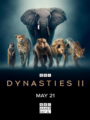 دانلود سریال Dynasties II