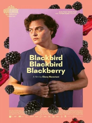 دانلود فیلم Blackbird Blackbird Blackberry