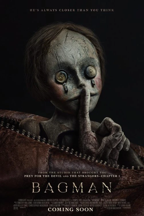 دانلود فیلم Bagman