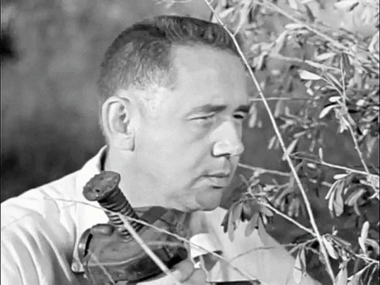 Robert J. Stevenson
