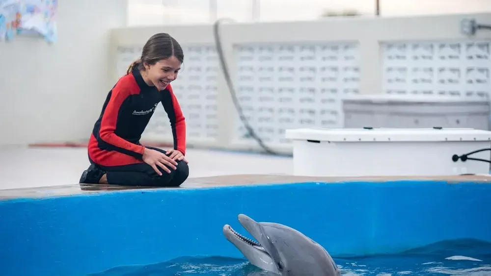 Bernie the Dolphin 2